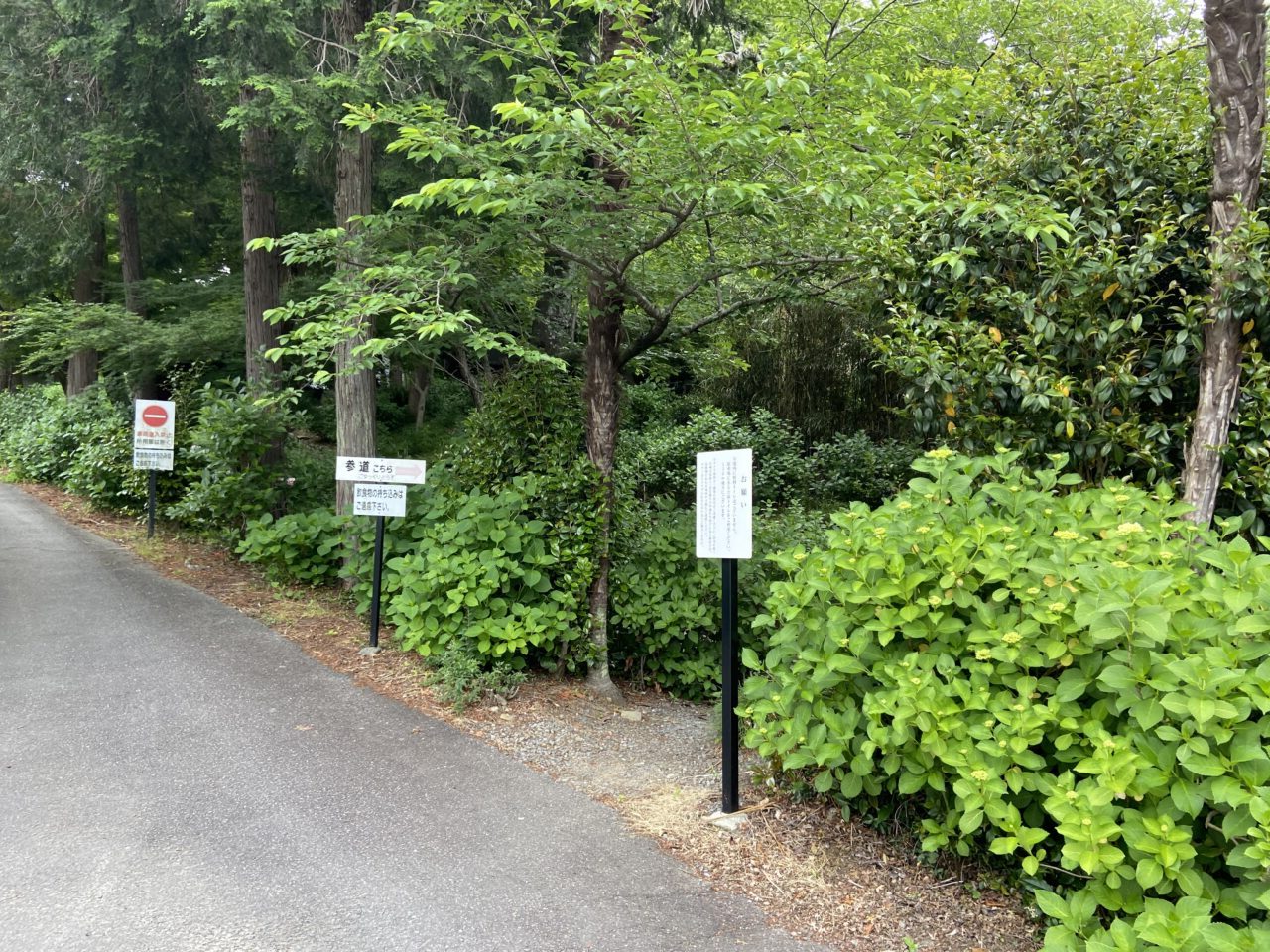 本光寺紫陽花まつり