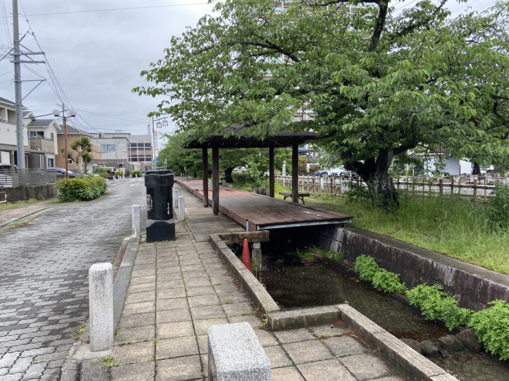 みどり川河畔で毎月5日に開催されるコーヒーフェス